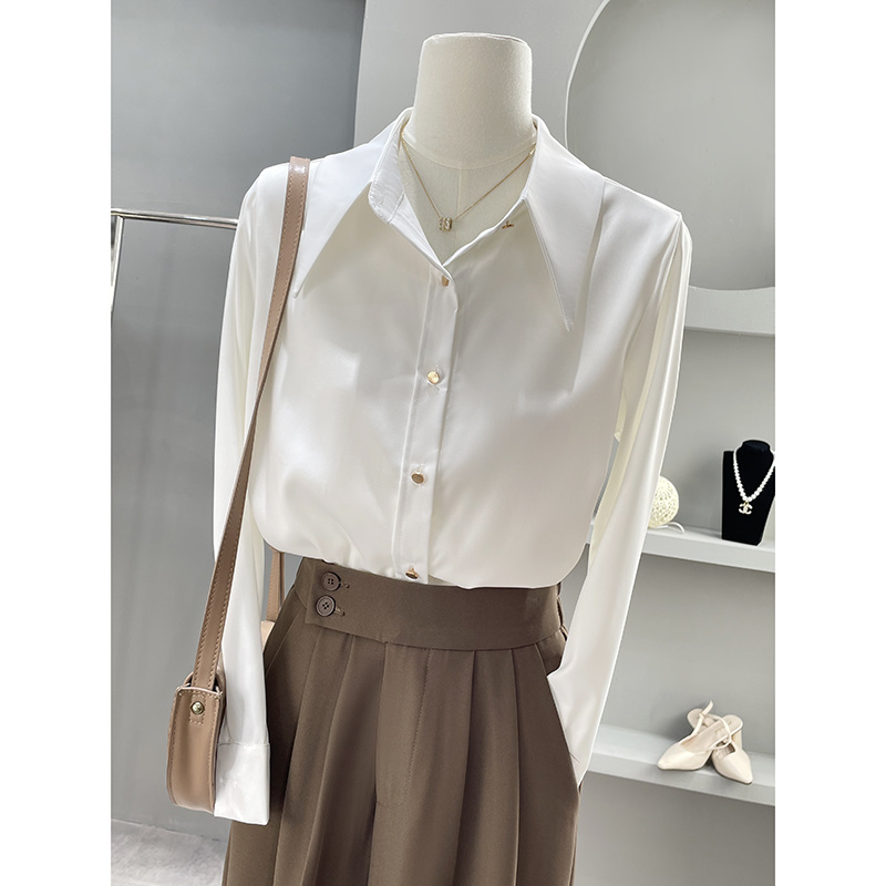Long Sleeve Shirts Womens Chif - Women'S Formal Wear Blouse のレビューと価格