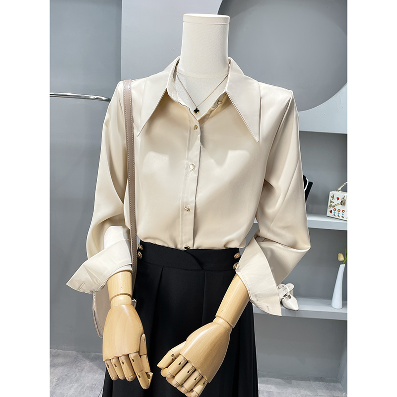 Long Sleeve Shirts Womens Chif - Women'S Formal Wear Blouse のレビューと価格