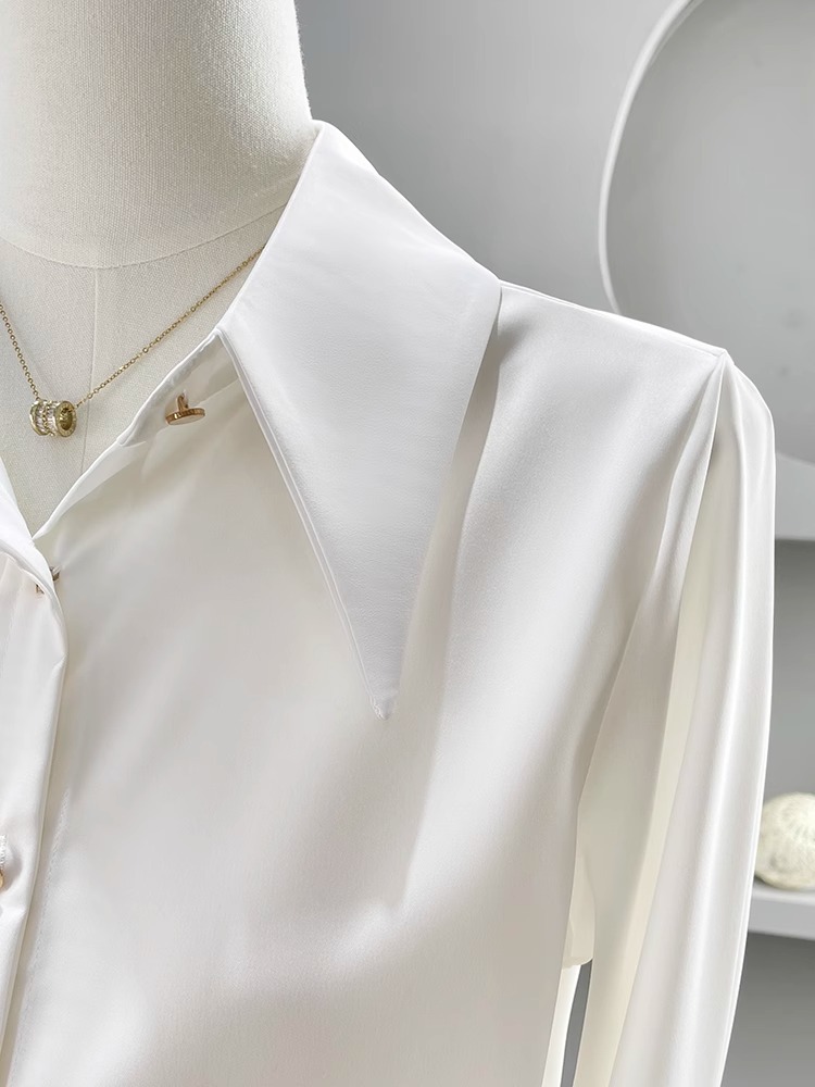 Long Sleeve Shirts Womens Chif - Women'S Formal Wear Blouse のレビューと価格