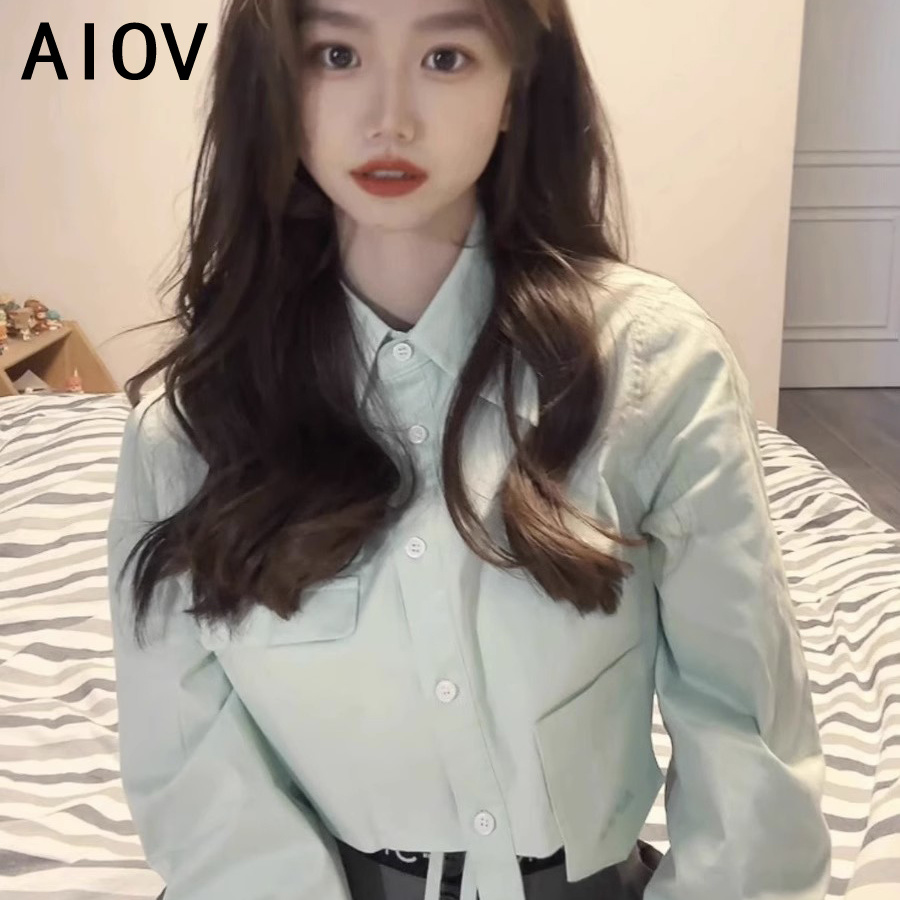 Long Sleeve Shirts Womens Stri - Women'S Formal Wear Blouse のレビューと価格