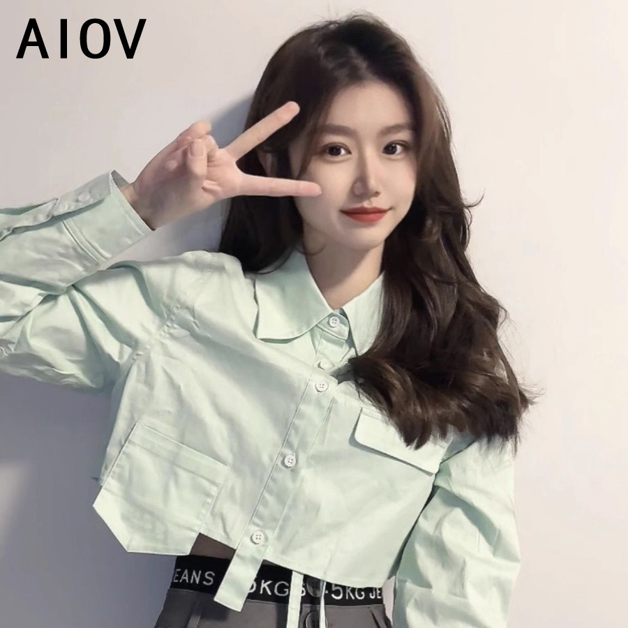 Long Sleeve Shirts Womens Stri - Women'S Formal Wear Blouse のレビューと価格