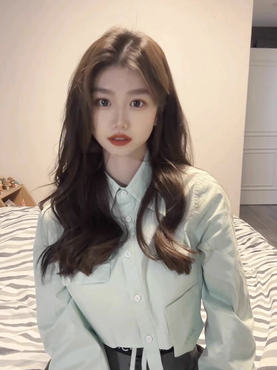 Long Sleeve Shirts Womens Stri - Women'S Formal Wear Blouse のレビューと価格