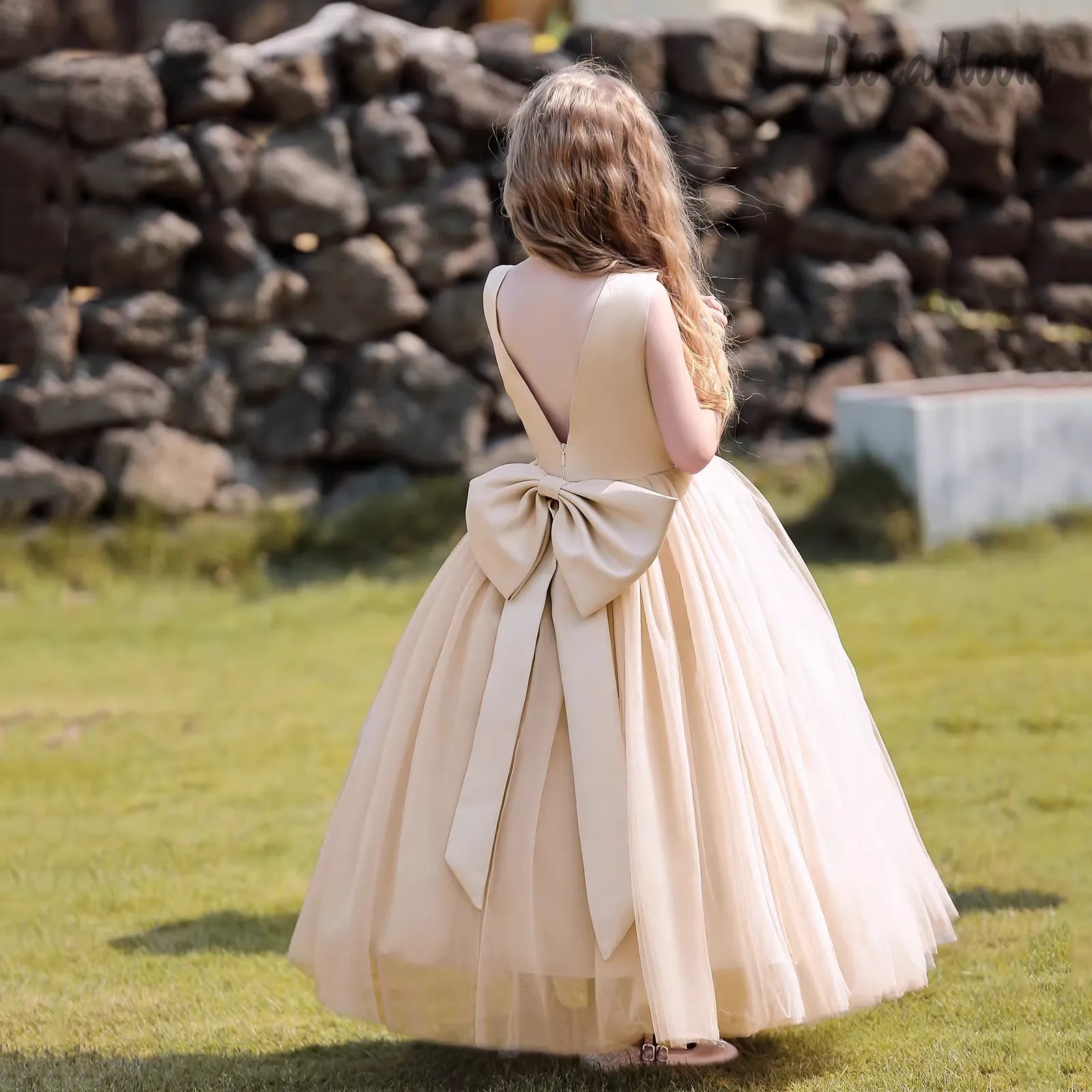 Multicolor Backless Princess D - Women Formal Party Wear Dress のレビューと価格