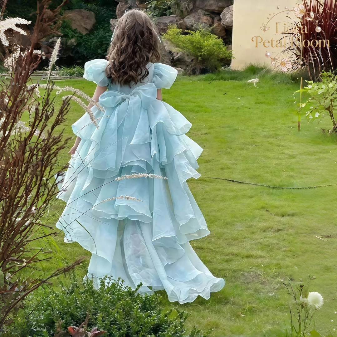 Blue Tulle Gown  Girls' Bow Pa - Women Formal Party Wear Dress のレビューと価格