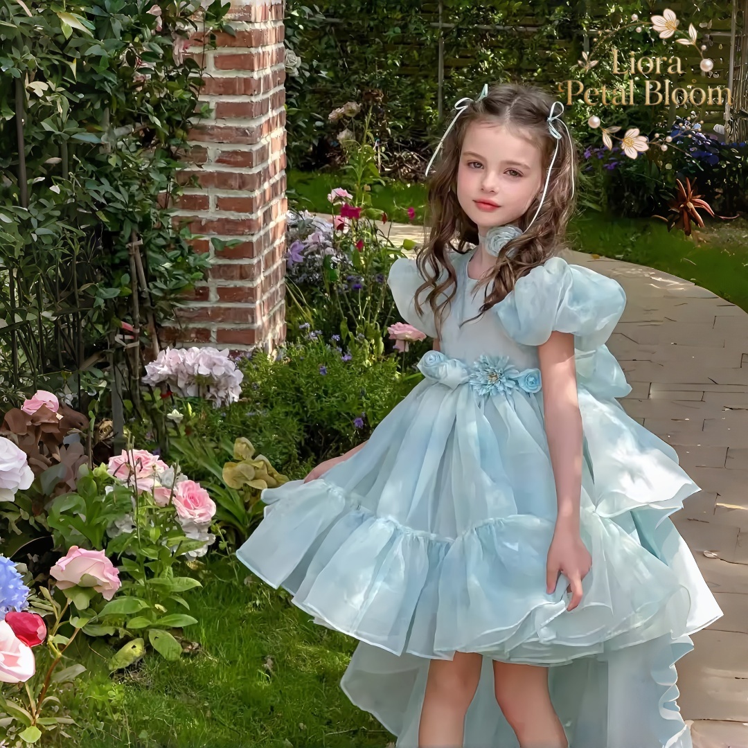 Blue Tulle Gown  Girls' Bow Pa - Women Formal Party Wear Dress のレビューと価格